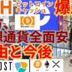 【仮想通貨BTC, ETH, XRP, IOST, NEM, BCH】ビットコインキャッシュ爆上げ‼️一方で仮想通貨全面安の理由と今後