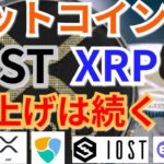 【仮想通貨BTC, ETH, XRP, IOST, NEM, ENJ】ビットコイン、リップル、IOST爆上げは続く