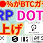 【仮想通貨BTC, ETH, XRP, XLM, IOST, DOT】●●％がビットコインをガチホ⁉️リップル＆ポルカドット爆上げ‼️