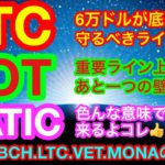 【仮想通貨 BTC.ETH.BCH.LTC.HOT.VET.MONA.MATIC】主要アルトの上昇要因判明😊👍重要ニュースはBNBトークンバーン情報とライトコインが今年は2000ドル❗️❓