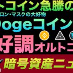 ビットコイン急騰に注意！危険すぎるDogeコインの技術リスクと最大保有者の闇、BNBがまだ上がるワケ、そして気になるオルトコイン紹介も！