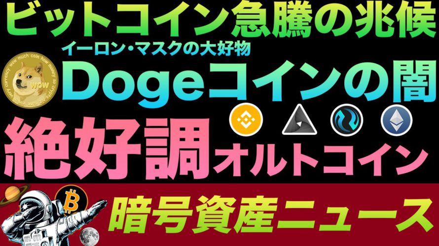 ビットコイン急騰に注意！危険すぎるDogeコインの技術リスクと最大保有者の闇、BNBがまだ上がるワケ、そして気になるオルトコイン紹介も！