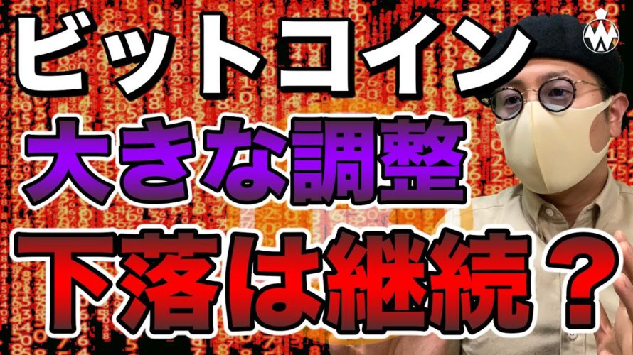 【ビットコイン&ETH&XRP&NEM&IOST&BCH&MONA】仮想通貨市場前面安。各通貨の今後の相場展開と戦略について