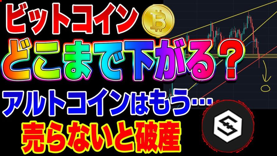 【仮想通貨】ビットコインどこまで下がる?IOSTなどアルトコインはもう終了・・・?