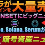 価格暴落の危機？テスラがビットコインを大量売却🤯Tensetにビッグニュース！！Cardano, Solana, Serumなど熱すぎるコインの最新情報！イラン政府が暗号資産で輸入品購入開始👀🔥