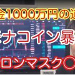 【貯金1000万円の道】モナコインが大暴落で爆損こいています。