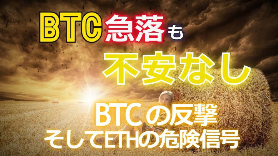 ビットコイン急落も不安なし。［2021年BTC最新情報］