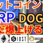 【仮想通貨BTC, ETH, XRP, DOGE, IOST】ビットコイン、ドージコイン、リップルまだ爆上げる❗