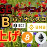 【仮想通貨BTC, ETH, XRP, IOST, DOGE, BNB】ドージコイン&バイナンスコイン爆上げ🚀‼️