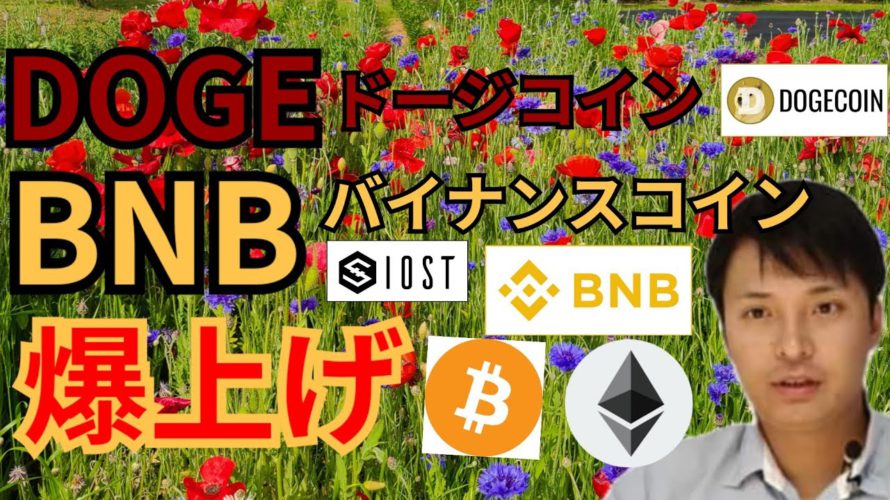 【仮想通貨BTC, ETH, XRP, IOST, DOGE, BNB】ドージコイン&バイナンスコイン爆上げ🚀‼️