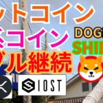 【仮想通貨BTC, ETH, XRP, IOST, DOGE, SHIB】ビットコイン&犬系コイン(ドージ&柴犬)のバブル継続の理由