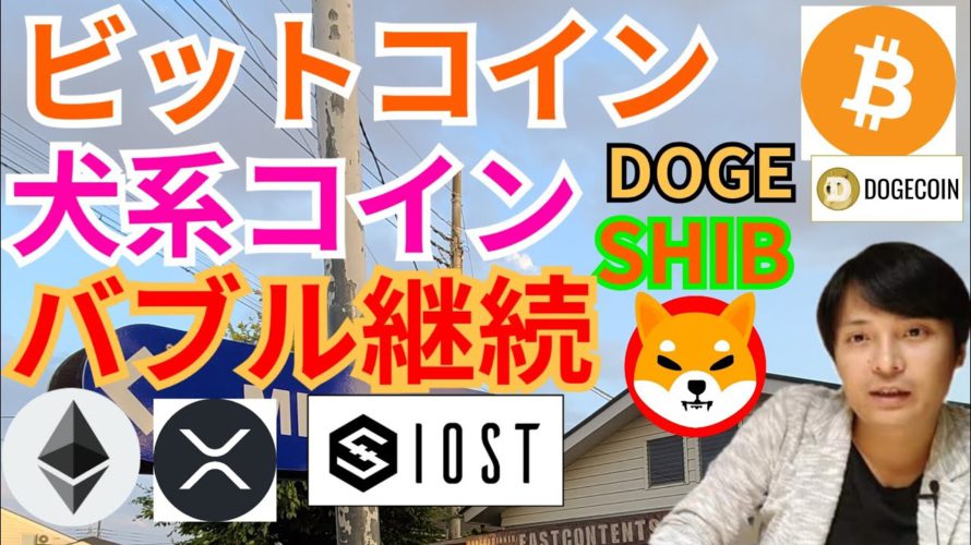 【仮想通貨BTC, ETH, XRP, IOST, DOGE, SHIB】ビットコイン&犬系コイン(ドージ&柴犬)のバブル継続の理由