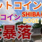 【仮想通貨BTC, ETH, XRP, IOST, DOGE, SHIB】ビットコイン&犬系コイン大暴落の理由と今後