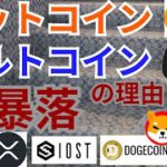 【仮想通貨BTC, ETH, XRP, IOST, DOGE, SHIB】ビットコイン&アルトコイン大暴落の理由と戦略はコレ