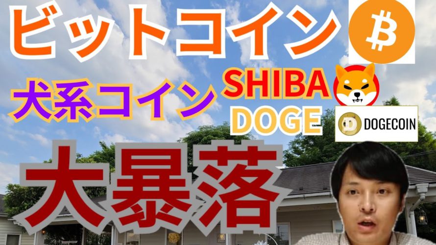 【仮想通貨BTC, ETH, XRP, IOST, DOGE, SHIB】ビットコイン&犬系コイン大暴落の理由と今後