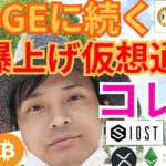 【仮想通貨BTC, ETH, XRP, NEM, IOST, ETC】ドージコイン(DOGE)の続く超爆上げコインはコレ?!