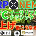 【仮想通貨BTC, ETH, XRP, NEM, IOST, ETH】リップル、ネム、イーサリアムクラシック爆上げ後こうなる‼️