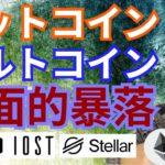 【仮想通貨BTC, ETH, XRP, XLM, NEM, IOST】ビットコイン&アルトコイン全面的暴落でバブル崩壊⁉️