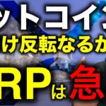 ビットコイン反発中！週明け反転なるか。XRPの急騰と各通貨週明けからの要点