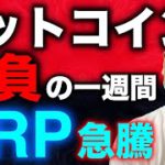 ビットコイン反発！ここから継続できるか。XRPは急騰！SEC裁判に進展あり？