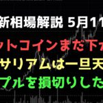 リップルを半分売りました｜ビットコインまだ下がる｜ビットコイン、イーサリアム、リップルの値動きを解説