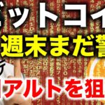 ビットコイン週末まだ警戒！下げ幅少ない注目アルトを狙う！