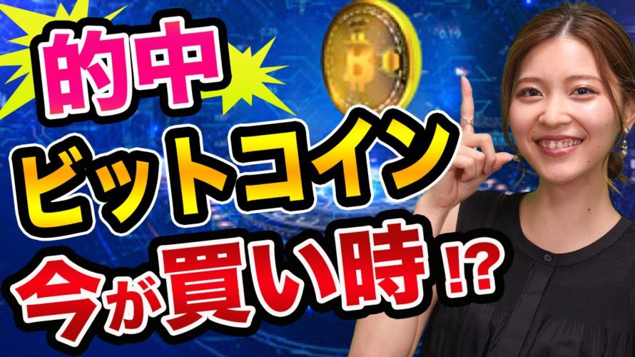 ビットコインは、今が買い時? イーロンマスクの裏話【仮想通貨の初心者】日経平均との関係とテスラとカルダノエイダとイーサリアム
