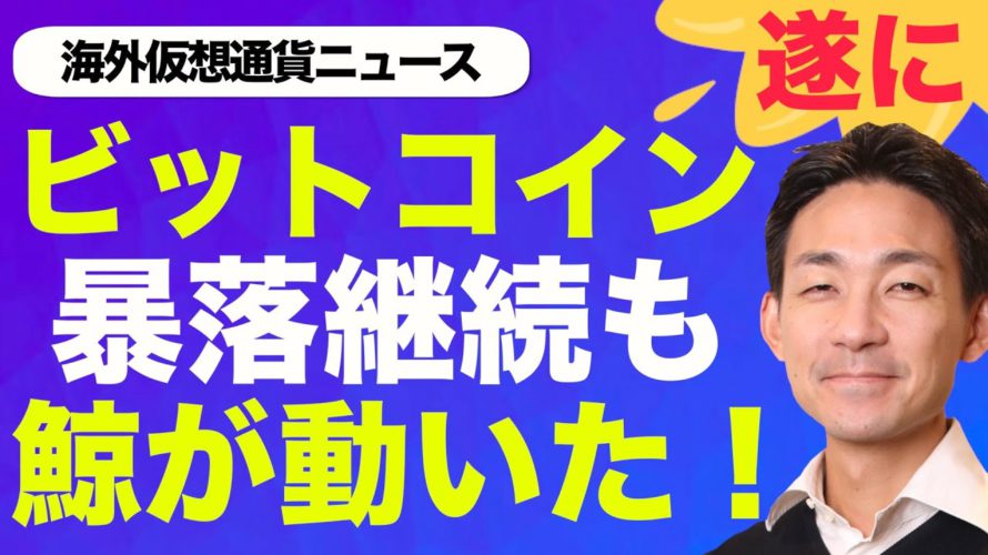 遂にクジラがビットコインを買いに動き出した!今後の動きに注目が集まる!
