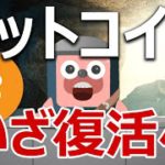 ビットコインは底を固めて復活の兆しか。今後の値動きは