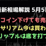 ビットコイン下がるが底を打つ｜イーサリアム今は買わない｜リップルも底を打つ｜ビットコイン、イーサリアム、リップルの値動きを解説