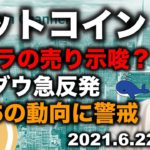 ビットコインクジラが売っている？総悲観の中、$30,000割れは近い？