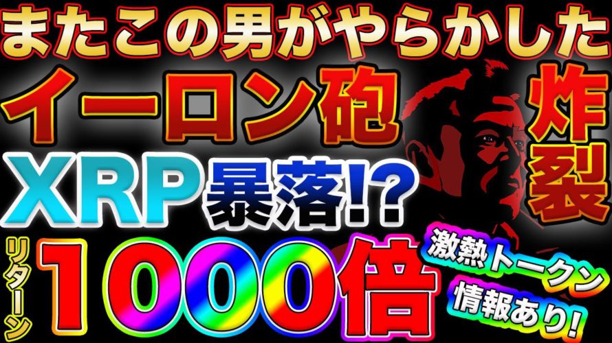 【※速報※ イーロン砲アゲイン!!】ビットコインに亀裂が！仮想通貨、そしてXRP(リップル)大暴落あるか？【仮想通貨】