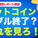 ビットコインと仮想通貨のバブルは終わってない❗️長期投資家には今がチャンス？