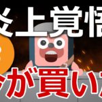 【炎上注意】ビットコインは今が買いの理由が良く分かる動画