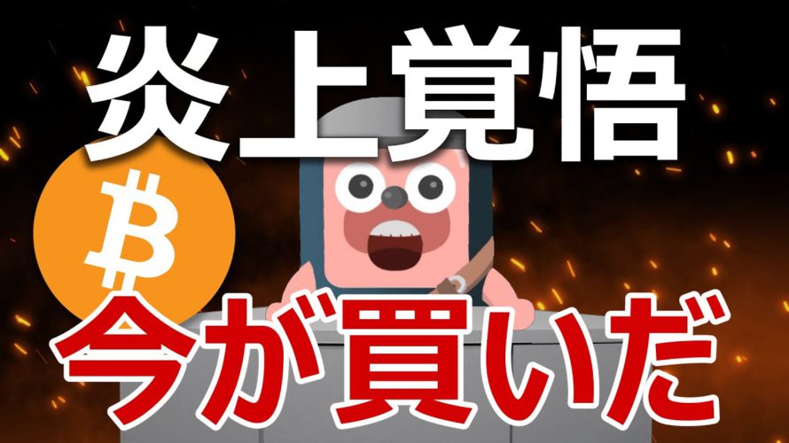 【炎上注意】ビットコインは今が買いの理由が良く分かる動画