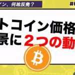 【解説】ビットコイン、価格上昇背景に２つの動き