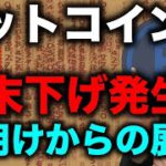 ビットコイン、仮想通貨市場全面安。週明けからさらに下げる？？