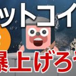 ビットコインがゴルゴ13のギネス最新刊に登場！爆上げる？