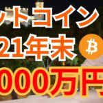 ビットコイン 2021年 年末 2000万円🚀‼️🙌【仮想通貨 BTC ETH XRP IOST 】