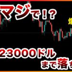 【マジ？】ビットコインは23000ドルまで暴落する！？米ファンドマネージャーが大胆予想！【仮想通貨・戦略を先出しで毎日更新】