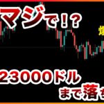 【マジ？】ビットコインは23000ドルまで暴落する！？米ファンドマネージャーが大胆予想！【仮想通貨・戦略を先出しで毎日更新】