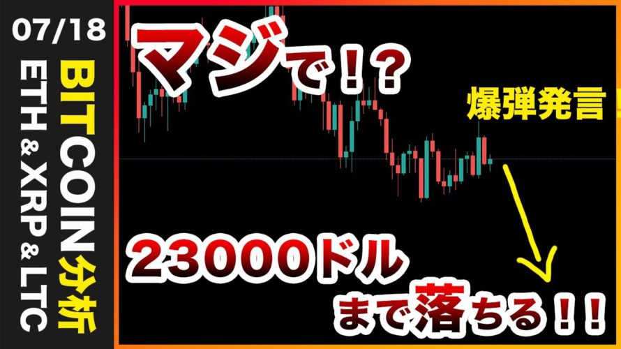 【マジ?】ビットコインは23000ドルまで暴落する!?米ファンドマネージャーが大胆予想!【仮想通貨・戦略を先出しで毎日更新】