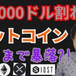 30000ドル 割れの ビットコイン はココまで暴落する⁉️💀【仮想通貨 BTC ETH XRP NEM IOST】