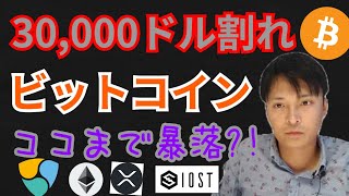 30000ドル 割れの ビットコイン はココまで暴落する⁉️💀【仮想通貨 BTC ETH XRP NEM IOST】