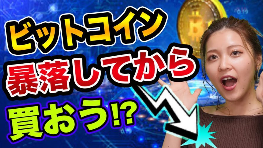 ビットコイン、暴落してから、買おう【仮想通貨の初心者】ヘッジファンド参入は悲劇とストック・フローモデルでビットコイン価格は900万円に?