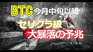 ビットコイン(BTC)は今月中旬以降にセリクラ級、大暴落の予兆