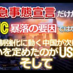 緊急事態宣言だけがビットコイン暴落の要因ではない