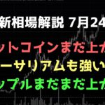 ビットコイン買い継続｜ビットコイン、イーサリアム、リップルの値動きを解説