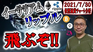 【仮想通貨ビットコイン&アルトコイン分析】イーサリアム&リップルが強い!!このまま行けば飛ぶぞ!!