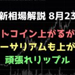 ビットコイン5万ドルに乗せても買わない｜ビットコイン、イーサリアム、リップルの値動きを解説